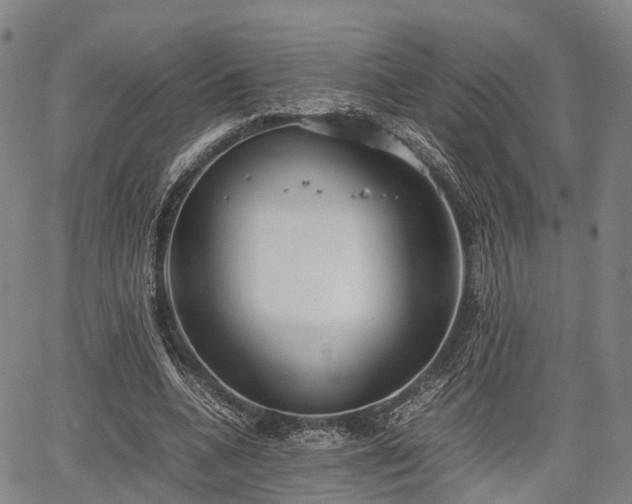 X0000067520536200604101329