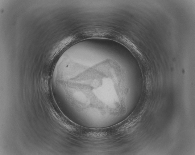 X0000067520537200604101329