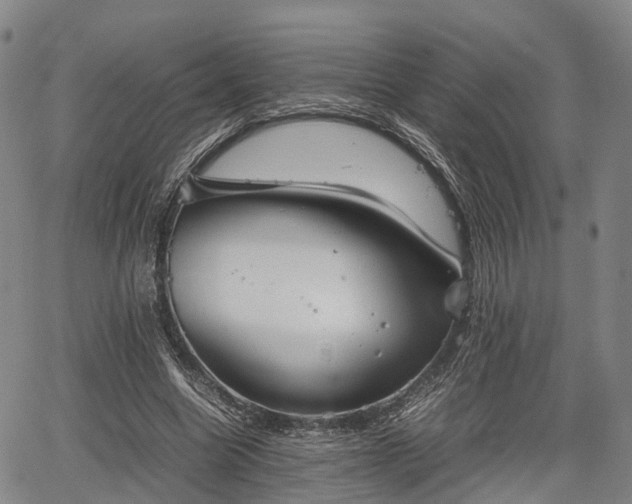 X0000067520538200604101329