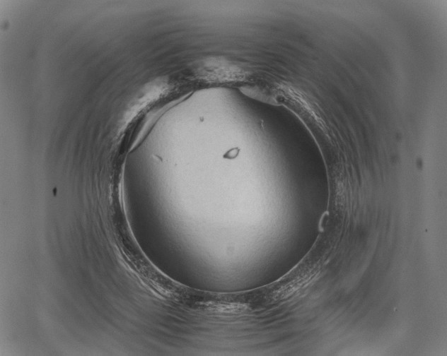 X0000067520539200604101329