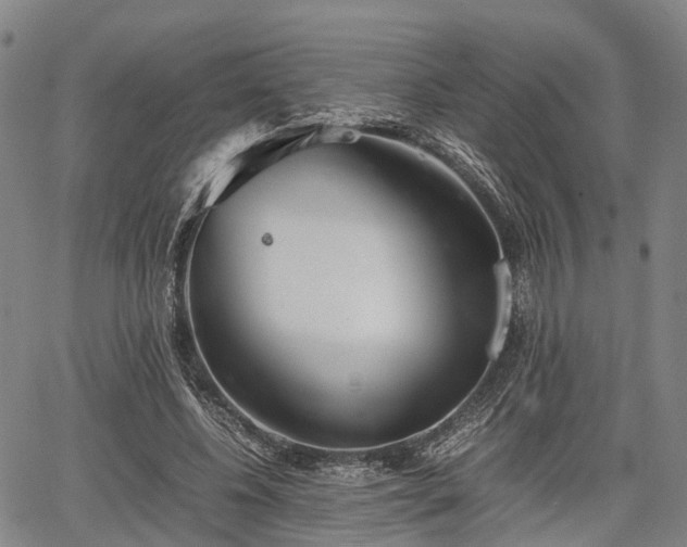 X0000067520540200604101329