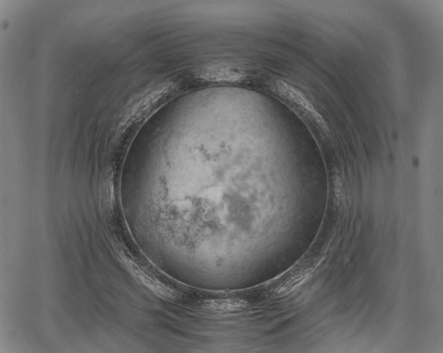 X0000067520541200604101329