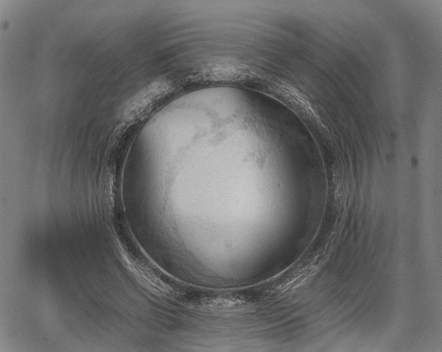 X0000067520542200604101329