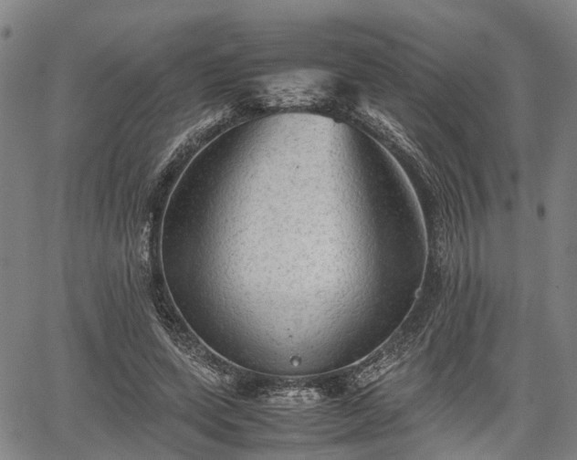 X0000067520543200604101329