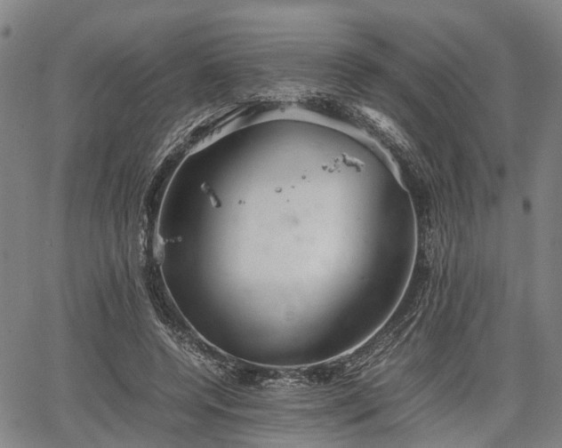 X0000067520544200604101329