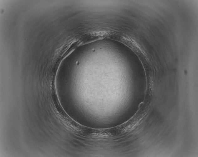 X0000067520545200604101329