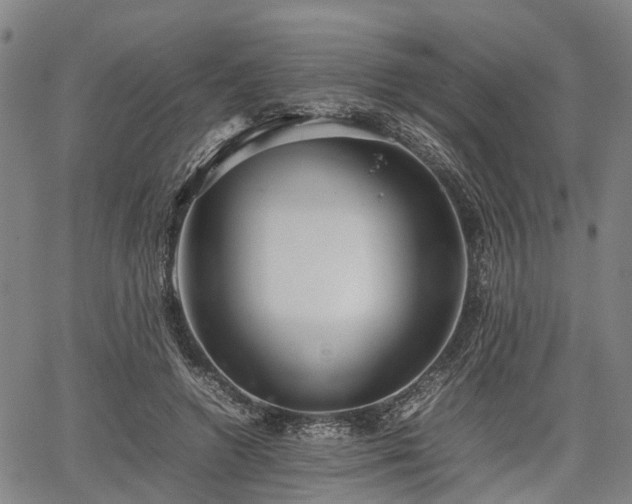 X0000067520546200604101329