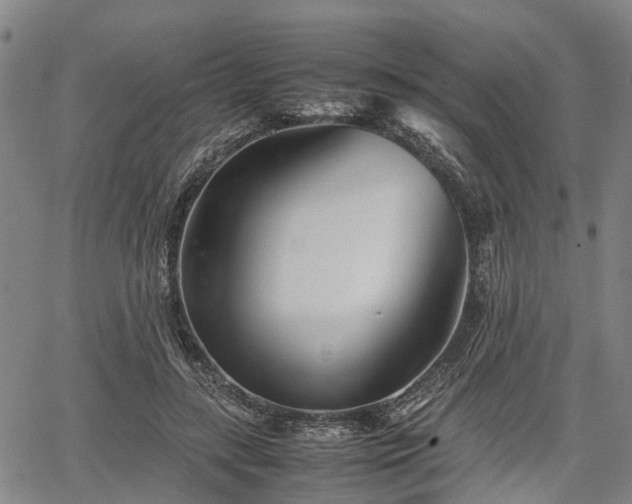 X0000067520547200604101329