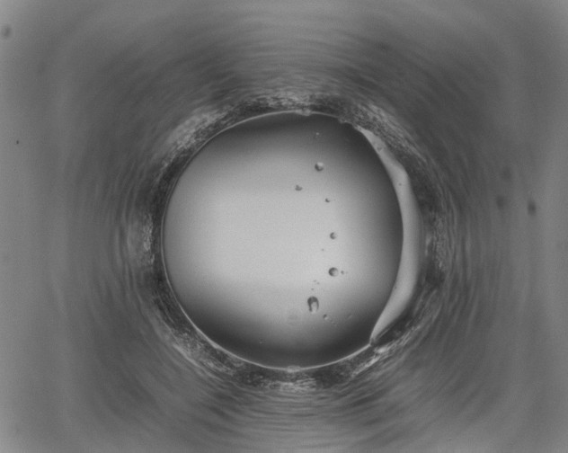 X0000067520548200604101329