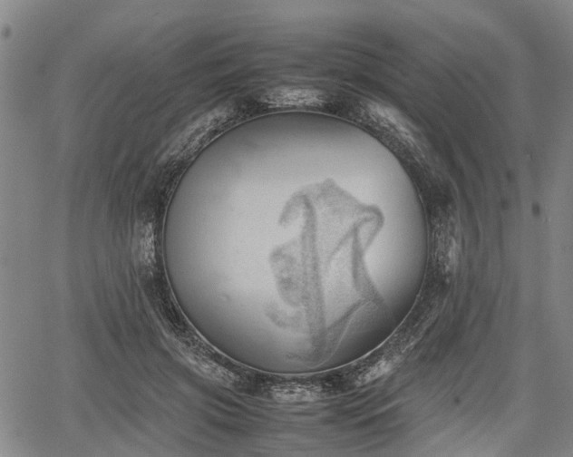 X0000067520549200604101329