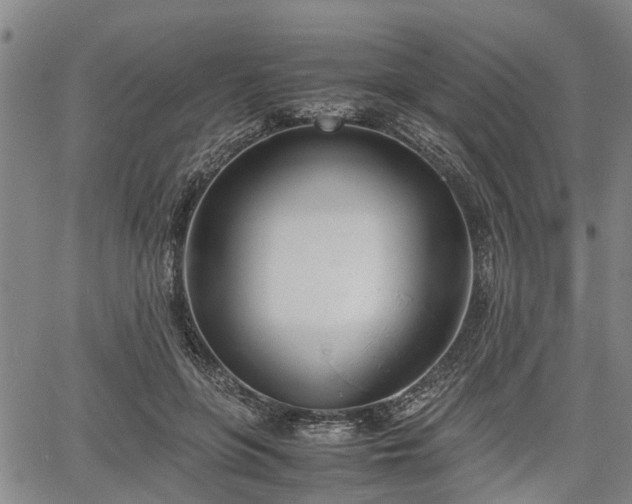 X0000067520551200604101329