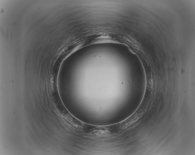 X0000067520552200604101329