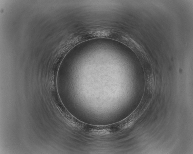 X0000067520553200604101329