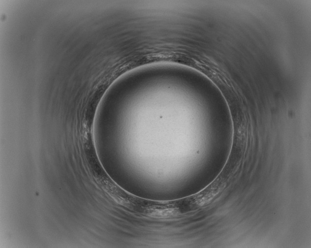 X0000067520555200604101329