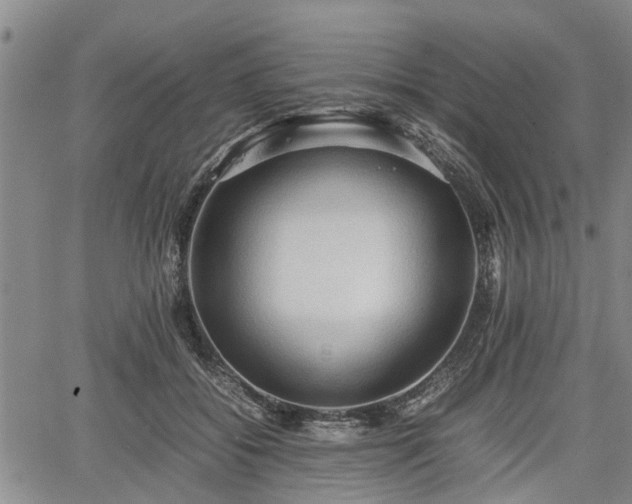 X0000067520556200604101329