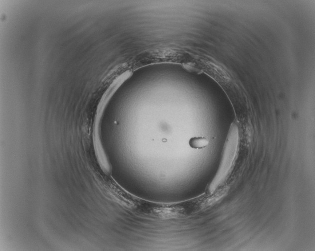 X0000067520558200604101329