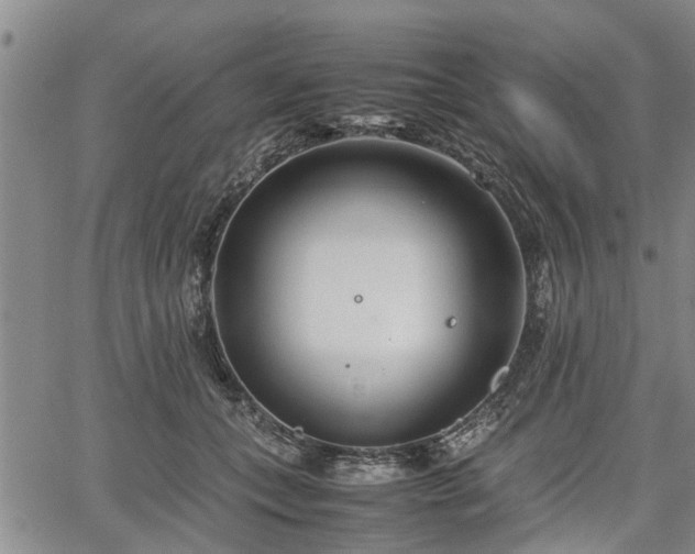 X0000067520559200604101329