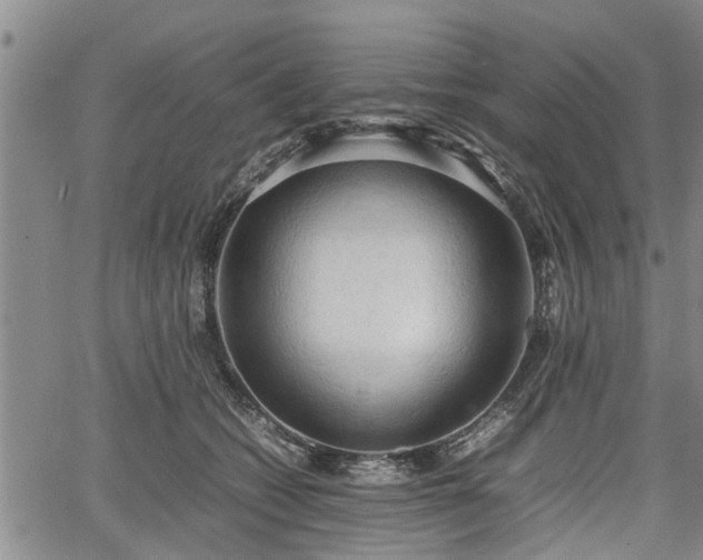 X0000067520562200604101329