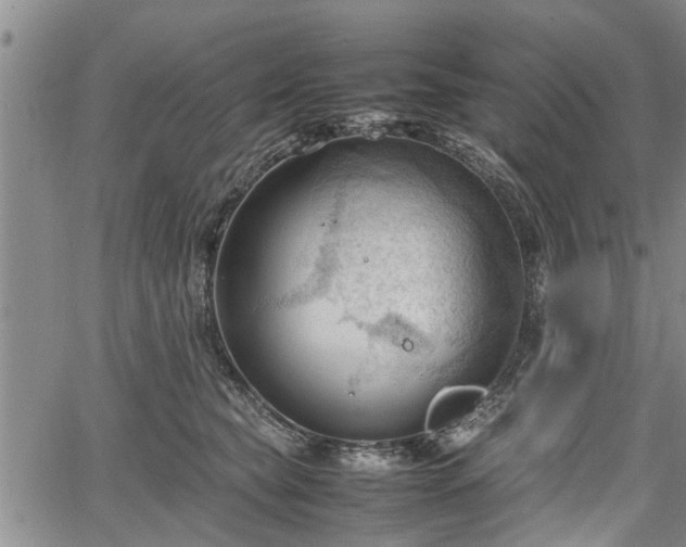 X0000067520565200604101329