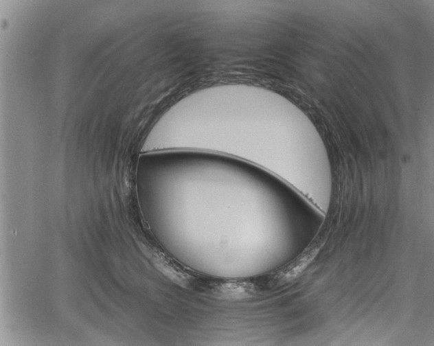 X0000067520566200604101329