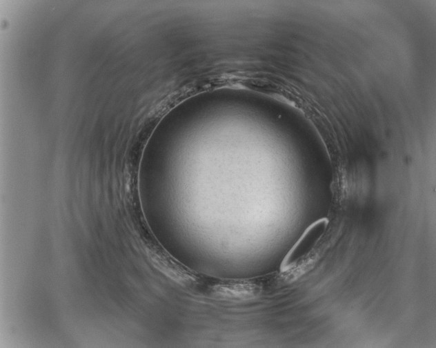 X0000067520567200604101329