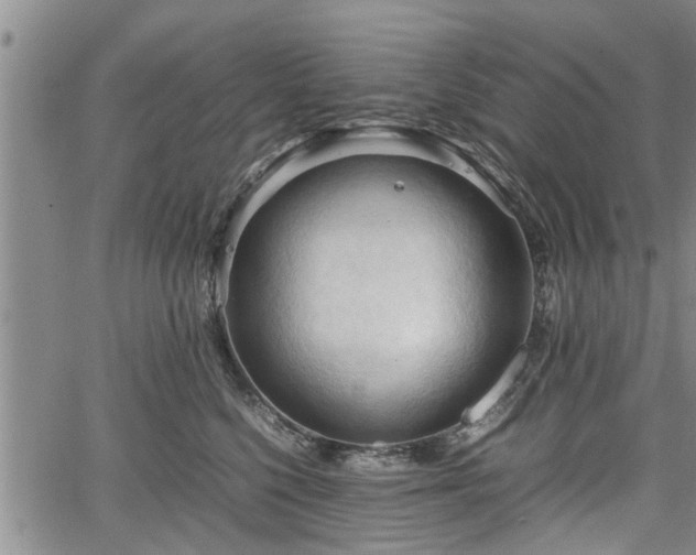 X0000067520568200604101329