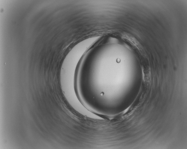 X0000067520572200604101329