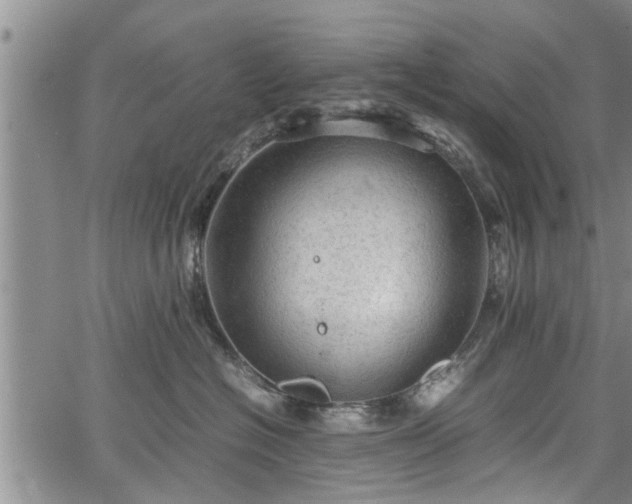 X0000067520574200604101329