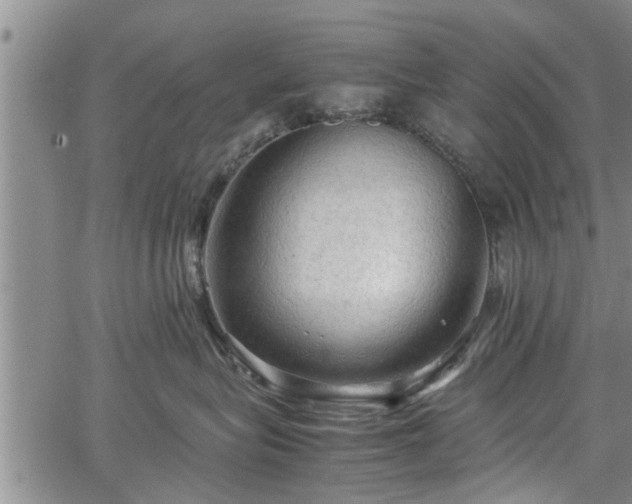 X0000067520575200604101329