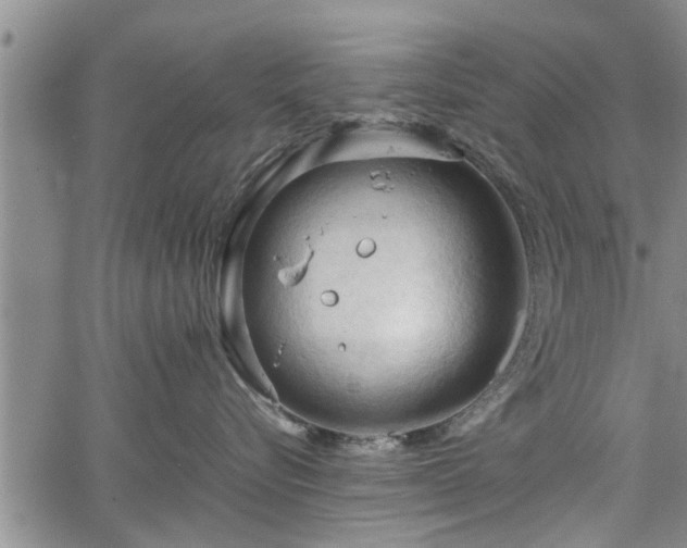 X0000067520576200604101329