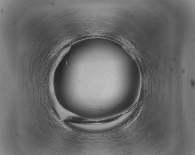 X0000067520577200604101329