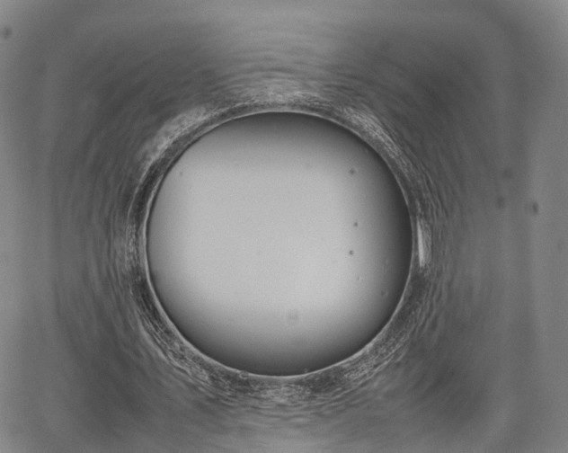 X0000067520579200604101329