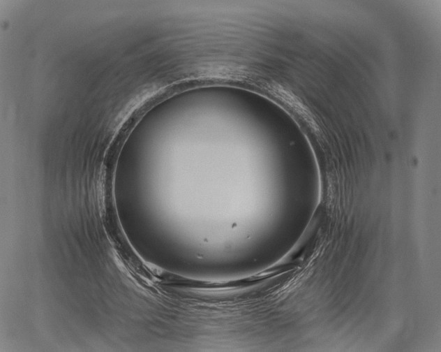 X0000067520580200604101329