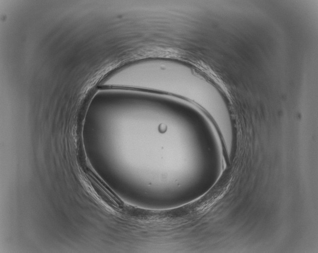 X0000067520581200604101329