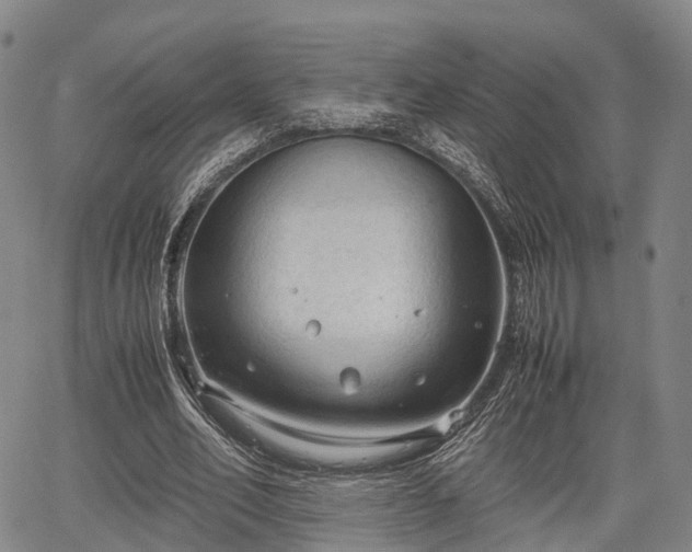 X0000067520582200604101329