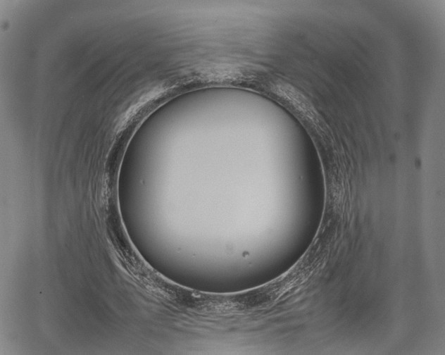 X0000067520583200604101329