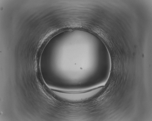 X0000067520584200604101329