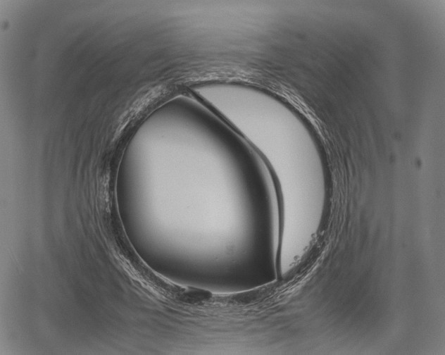 X0000067520585200604101329