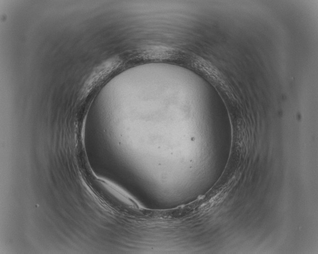 X0000067520586200604101329