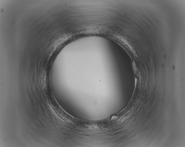 X0000067520588200604101328