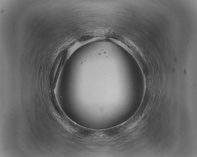 X0000067520589200604101328