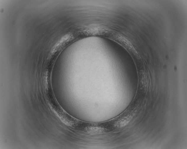 X0000067520590200604101328