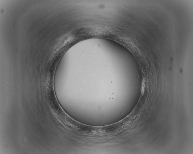 X0000067520591200604101328