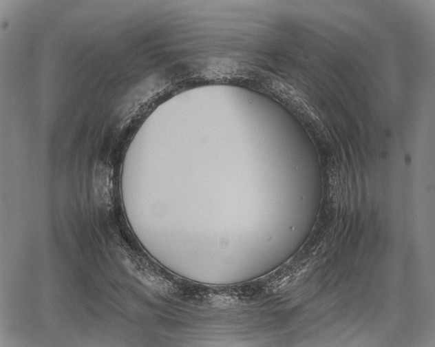 X0000067520592200604101328