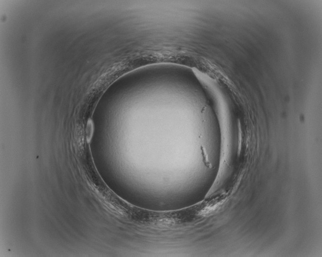 X0000067520593200604101328