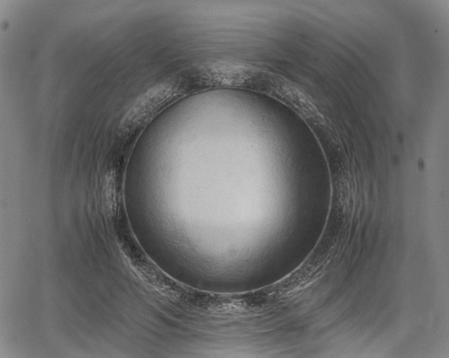 X0000067520594200604101328