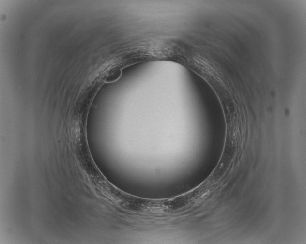 X0000067520595200604101328