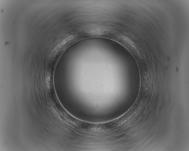 X0000067520596200604101328