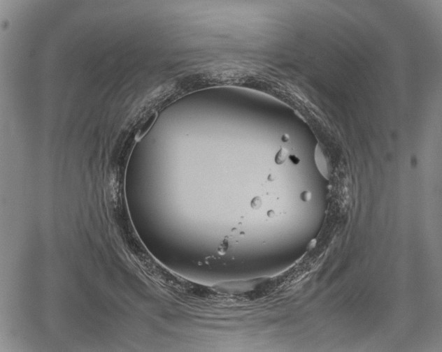 X0000067520597200604101328