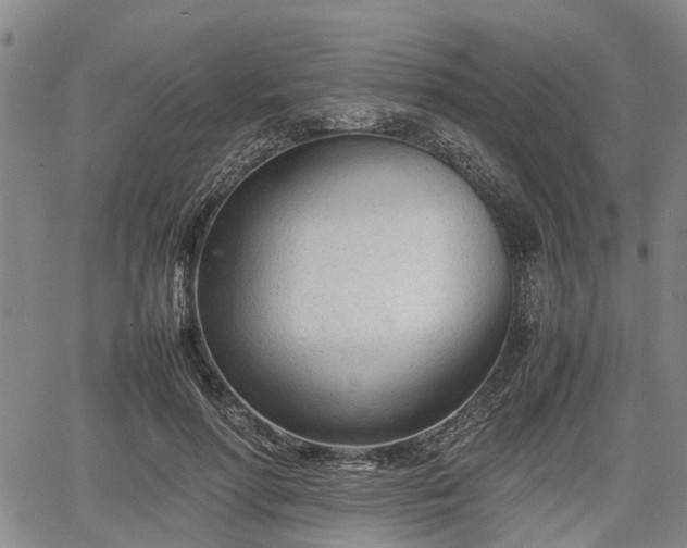 X0000067520598200604101328